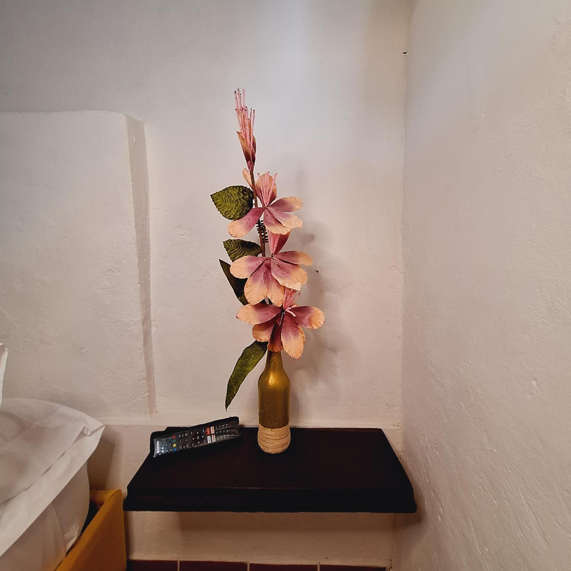 Hostal Colombian Gold سان جيل المظهر الخارجي الصورة