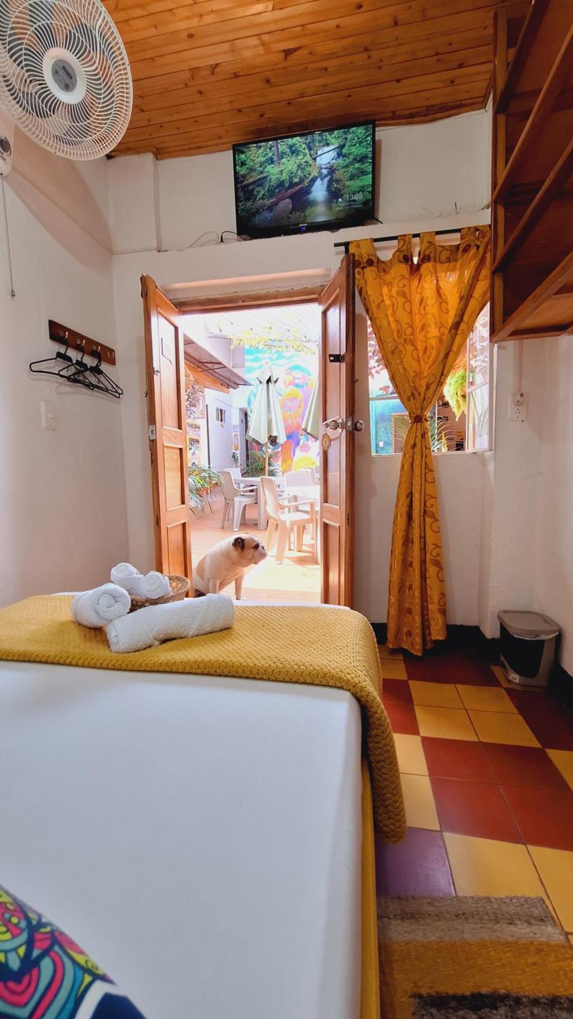 Hostal Colombian Gold سان جيل المظهر الخارجي الصورة